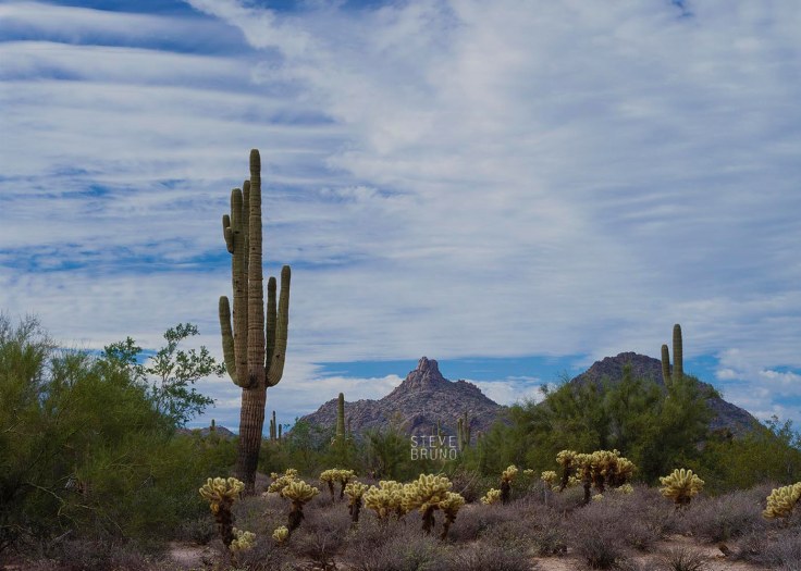 Pinnacle Peak-Steve Bruno