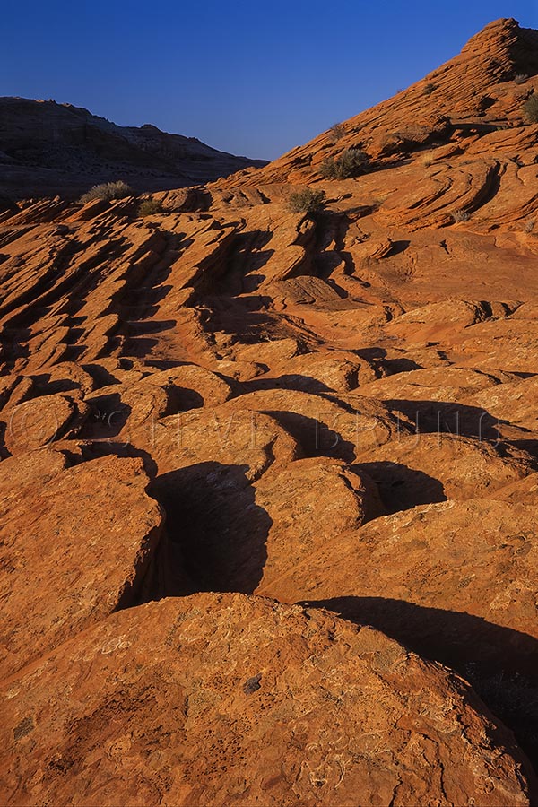 Sandstone discs line the hills of Vermillion Cliffs Wilderness, northern Arizona by Steve Bruno