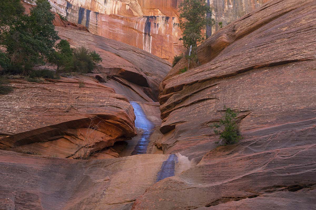 Taylor Creek Canyon, Zion National Park, Utah