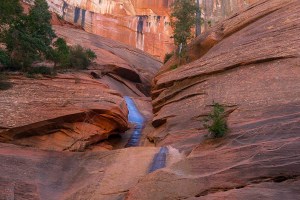 Taylor Creek Canyon, Zion National Park, Utah
