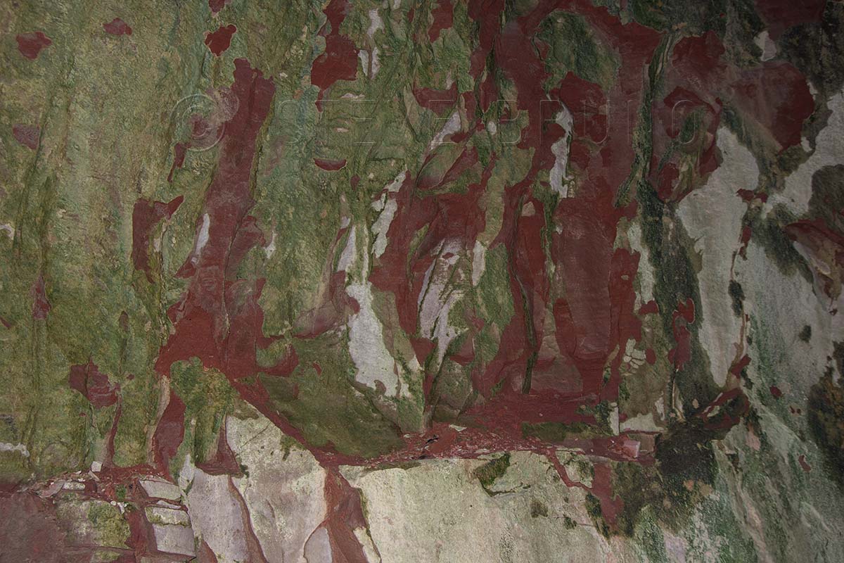Taylor Creek Canyon, Zion National Park, Utah
