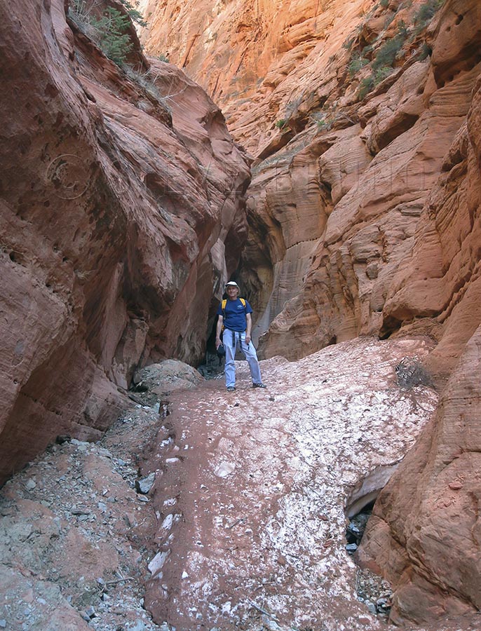 Taylor Creek Canyon, Zion National Park, Utah