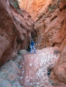 Taylor Creek Canyon, Zion National Park, Utah