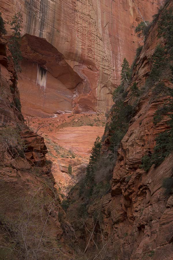 Taylor Creek Canyon, Zion National Park, Utah