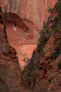 Taylor Creek Canyon, Zion National Park, Utah