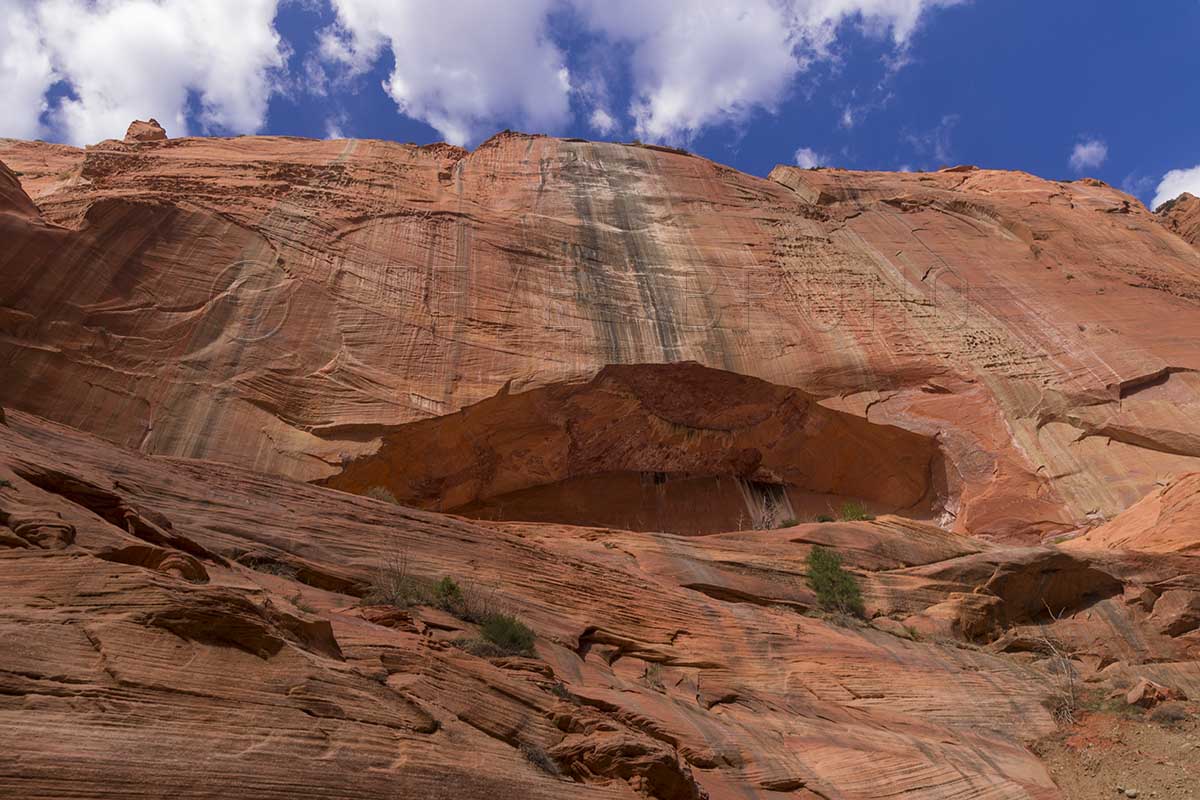 Taylor Creek Canyon, Zion National Park, Utah