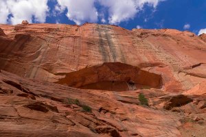 Taylor Creek Canyon, Zion National Park, Utah