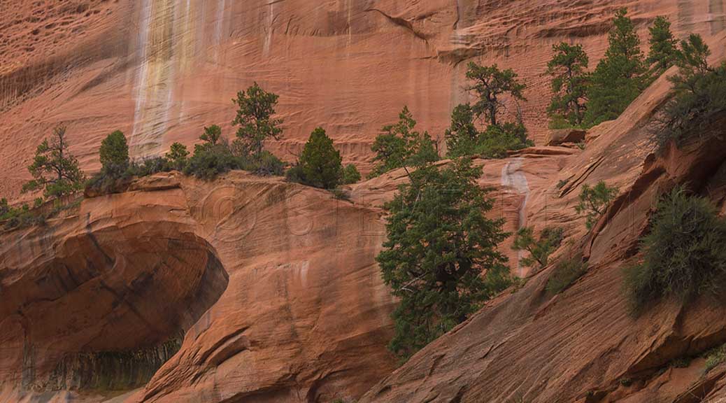 Taylor Creek Canyon, Zion National Park, Utah