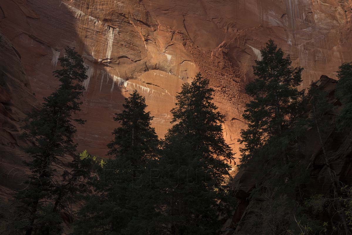 Taylor Creek Canyon, Zion National Park, Utah