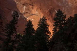 Taylor Creek Canyon, Zion National Park, Utah