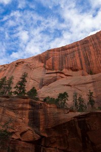Taylor Creek Canyon, Zion National Park, Utah
