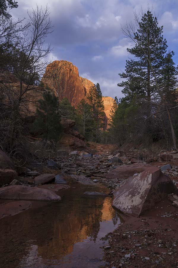Taylor Creek Canyon, Zion National Park, Utah