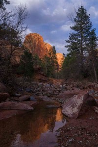 Taylor Creek Canyon, Zion National Park, Utah