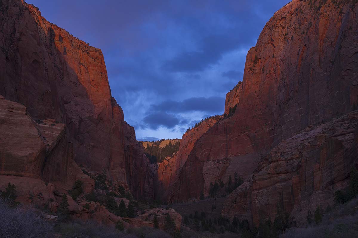 Kolob Canyons, Zion National Park, Utah