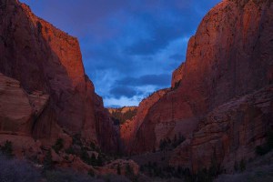 Kolob Canyons, Zion National Park, Utah