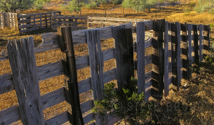 Old West Fence - Steve Bruno