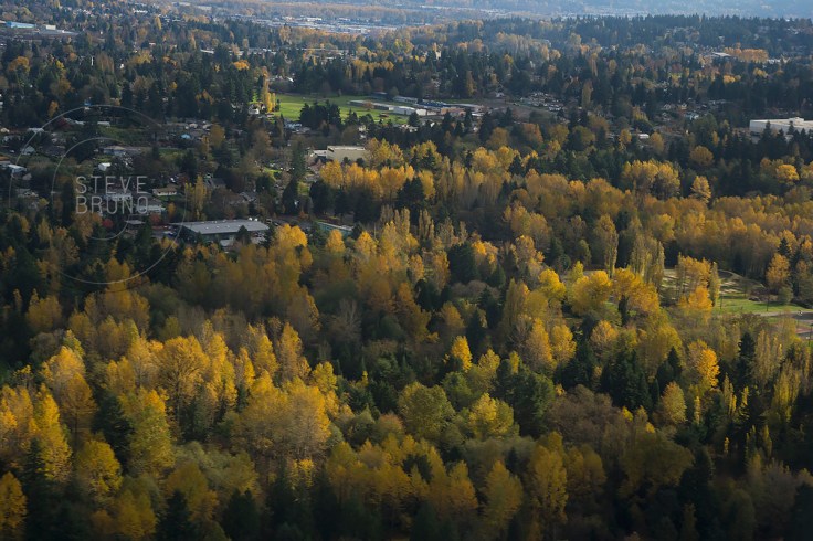 Autumn Seattle 01-Steve Bruno