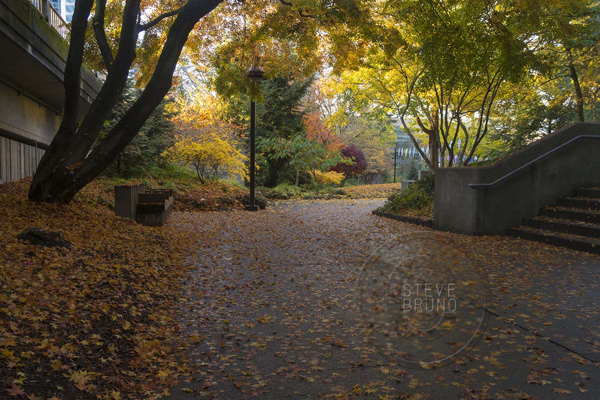 autumn, Freeway Park, Seattle, Washington