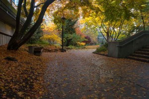autumn, Freeway Park, Seattle, Washington