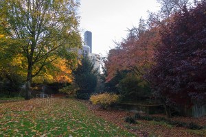 autumn, Freeway Park, Seattle, Washington