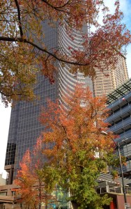 autumn, Seattle, Washington