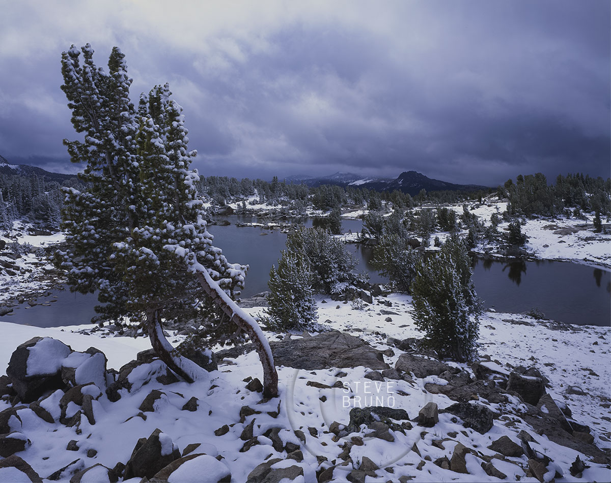 Yellowstone National Park, Wyoming