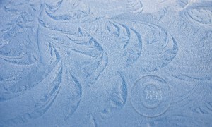 Window frost detail