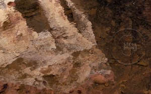 reflections in Red Rock Canyon, Nevada