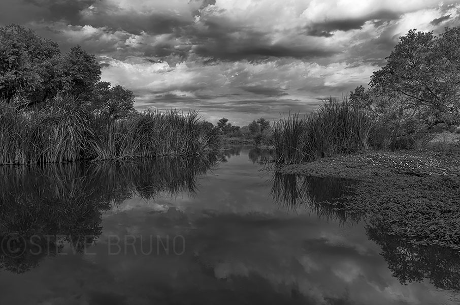 Gila River near Phoenix, Arizona photo by Steve Bruno