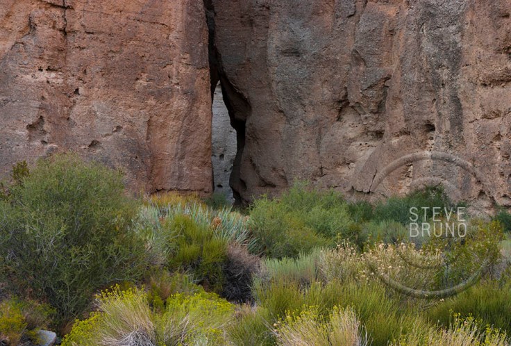 Secret Passage - Steve Bruno