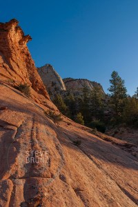 Zion National Park, Utah - Steve Bruno - gottatakemorepix