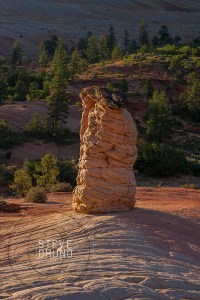Zion National Park, Utah - Steve Bruno - gottatakemorepix