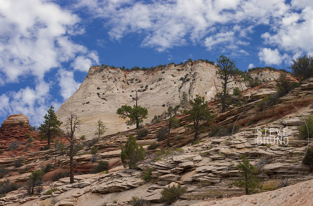 Zion National Park, Utah - Steve Bruno - gottatakemorepix