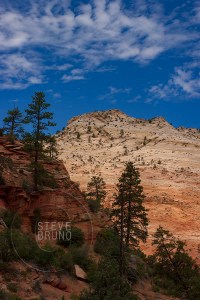 Zion National Park, Utah - Steve Bruno - gottatakemorepix