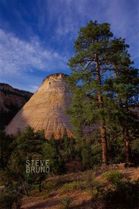 Zion National Park, Utah - Steve Bruno - gottatakemorepix