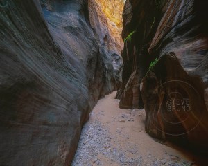 Zion National Park, Utah - Steve Bruno - gottatakemorepix