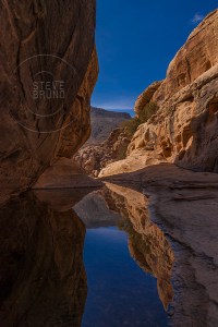 Reflections in a creek in Red Rock Nevada - Steve Bruno - gottatakemorepix