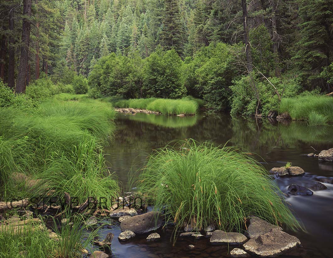 Black River, White Mountains, Arizona, Steve Bruno