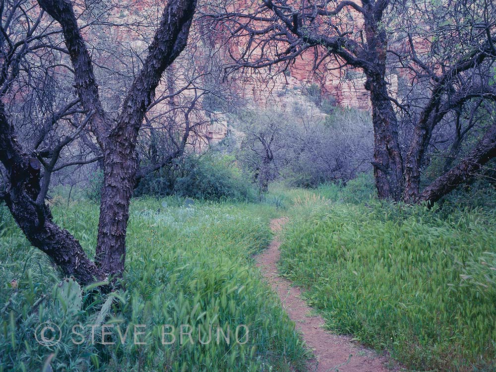 Sycamore Canyon Wilderness, trail, hiking, Arizona, Steve Bruno