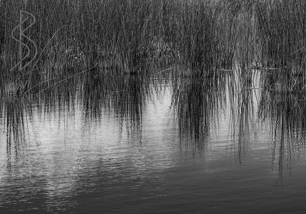 Pahranagat National Wildlife Refuge, Nevada, Steve Bruno, gottatakemorepix