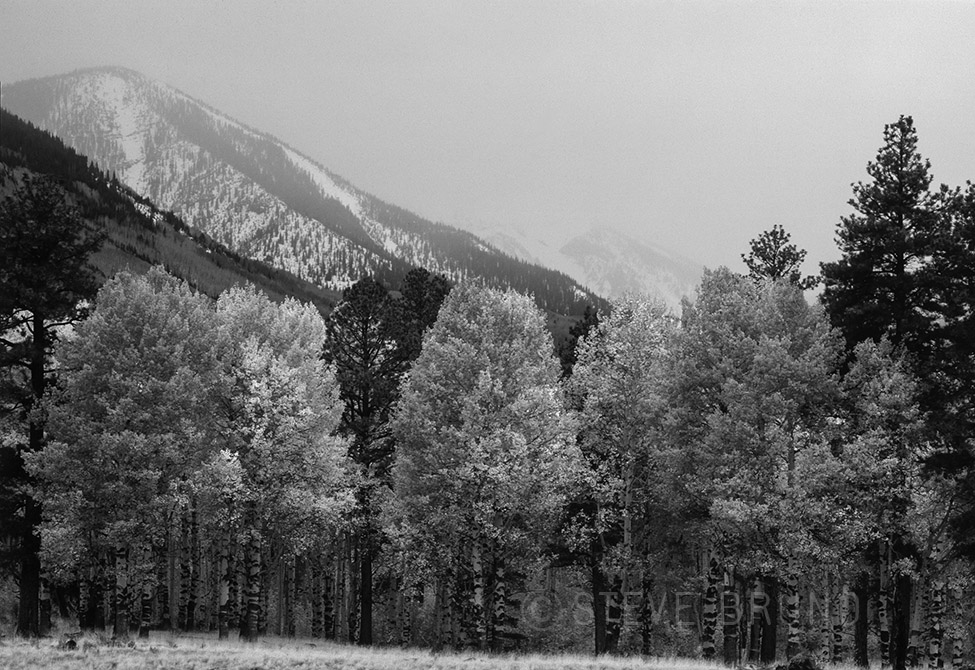 autumn, inner basin, san francisco peaks, snow, flagstaff, steve bruno, gottatakemorepix