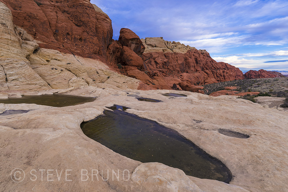 rainwater pools, Red Rock Canyon, Las Vegas, Nevada, Steve Bruno