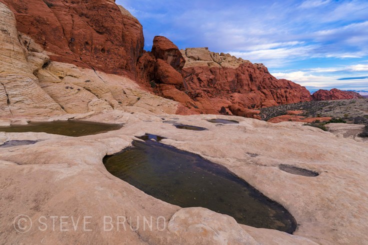 rainwater pools, Red Rock Canyon, Las Vegas, Nevada, Steve Bruno