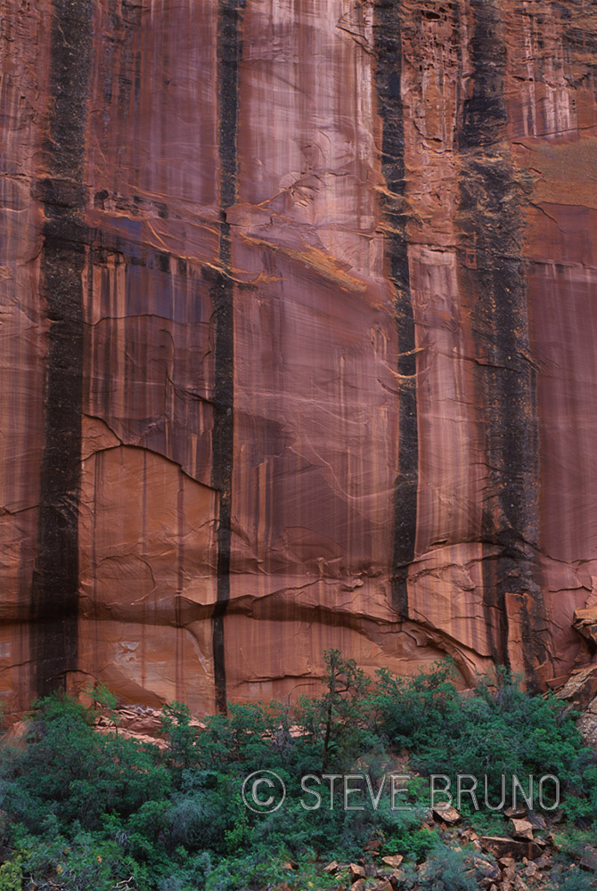 Escalante, Utah, canyon, desert varnish, gottatakemorepix