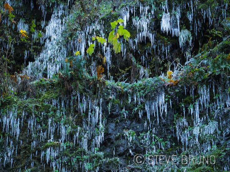 icicles, Oregon, waterfall, Steve Bruno