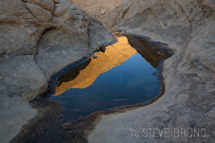 rainwater pool, desert, Nevada, Red Rock Canyon, landscape photography