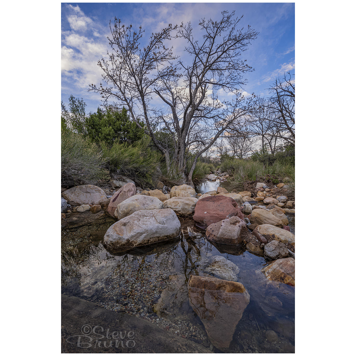 water, red rock canyon, nevada, las vegas, Steve Bruno