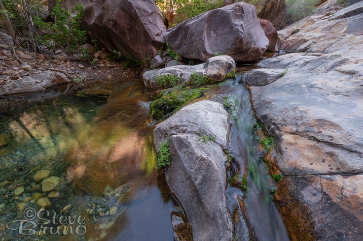 creek, Red Rock Canyon, Nevada