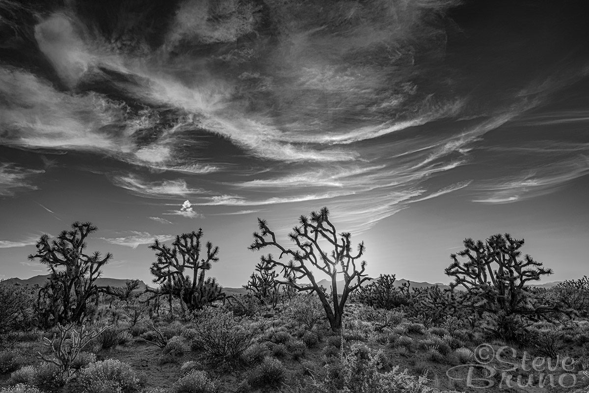 Joshua Tree, Arizona, clouds, Steve Bruno photography