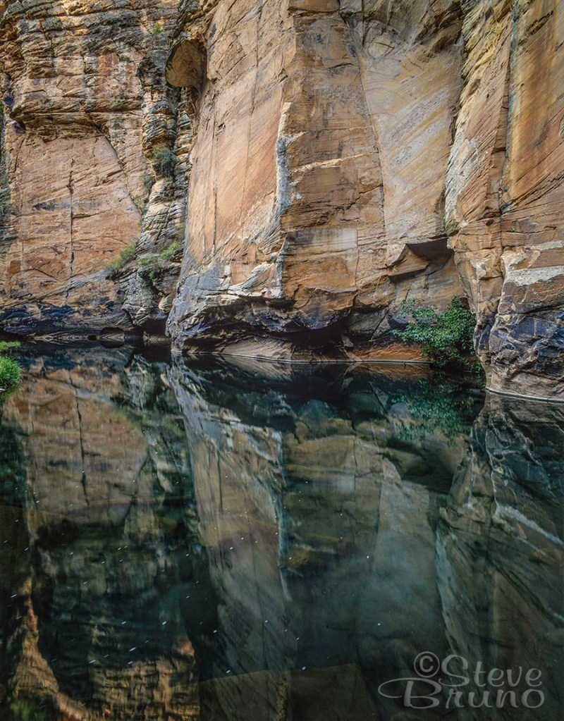 Arizona, Riparian zone, reflection, landscape photography, Steve Bruno